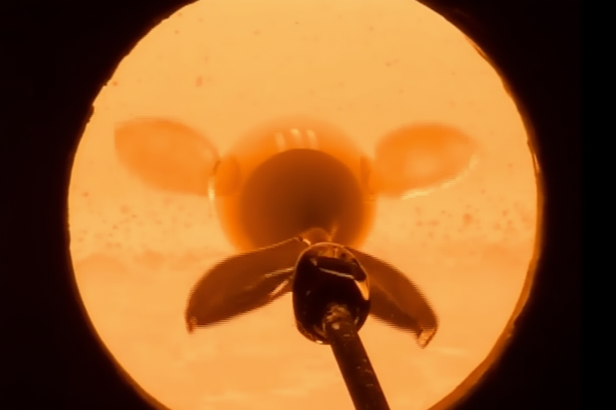 Charger la vidéo : 