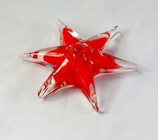 Étoile de mer / Star Fish