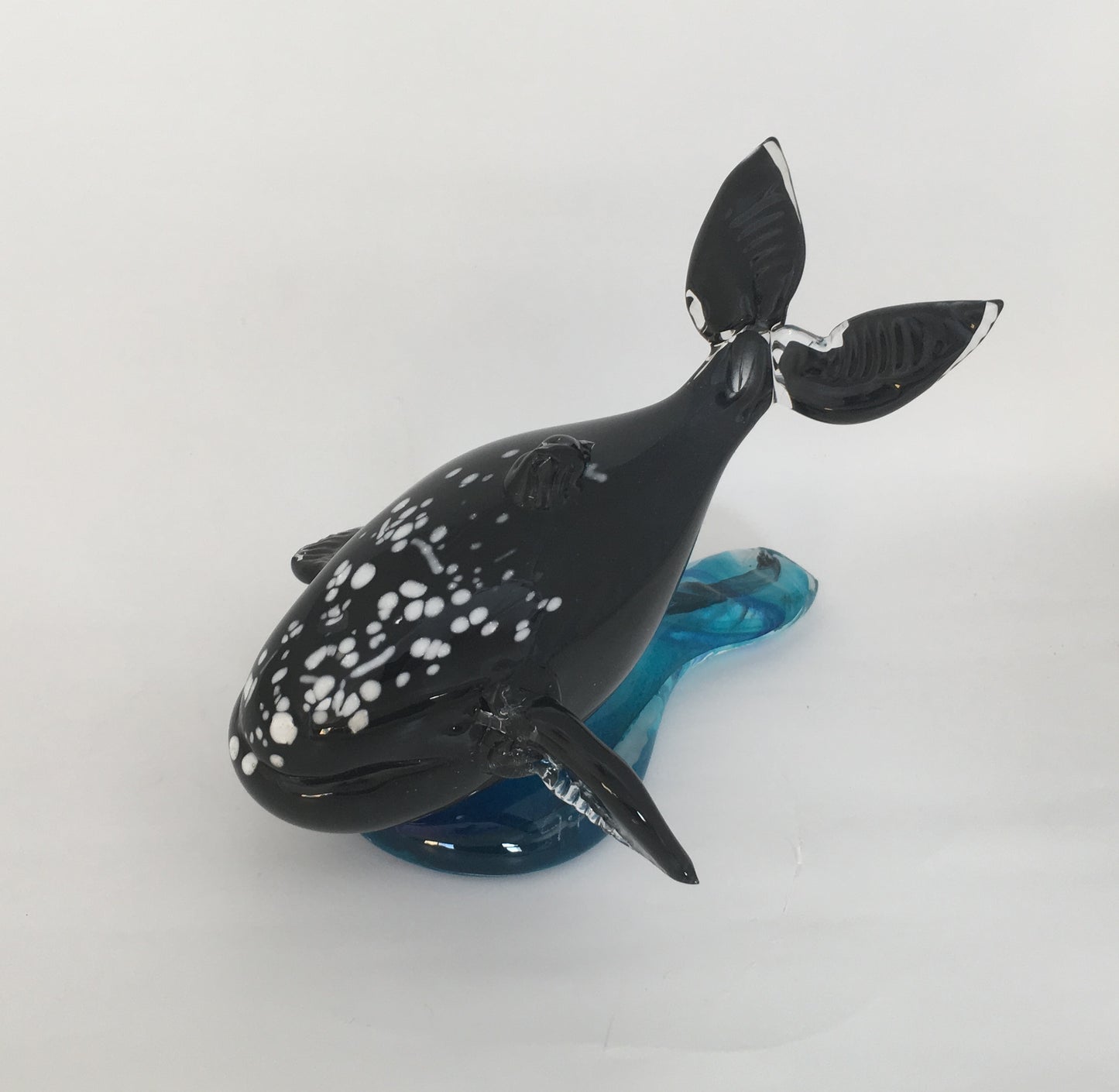 Rorqual / Humpback whale