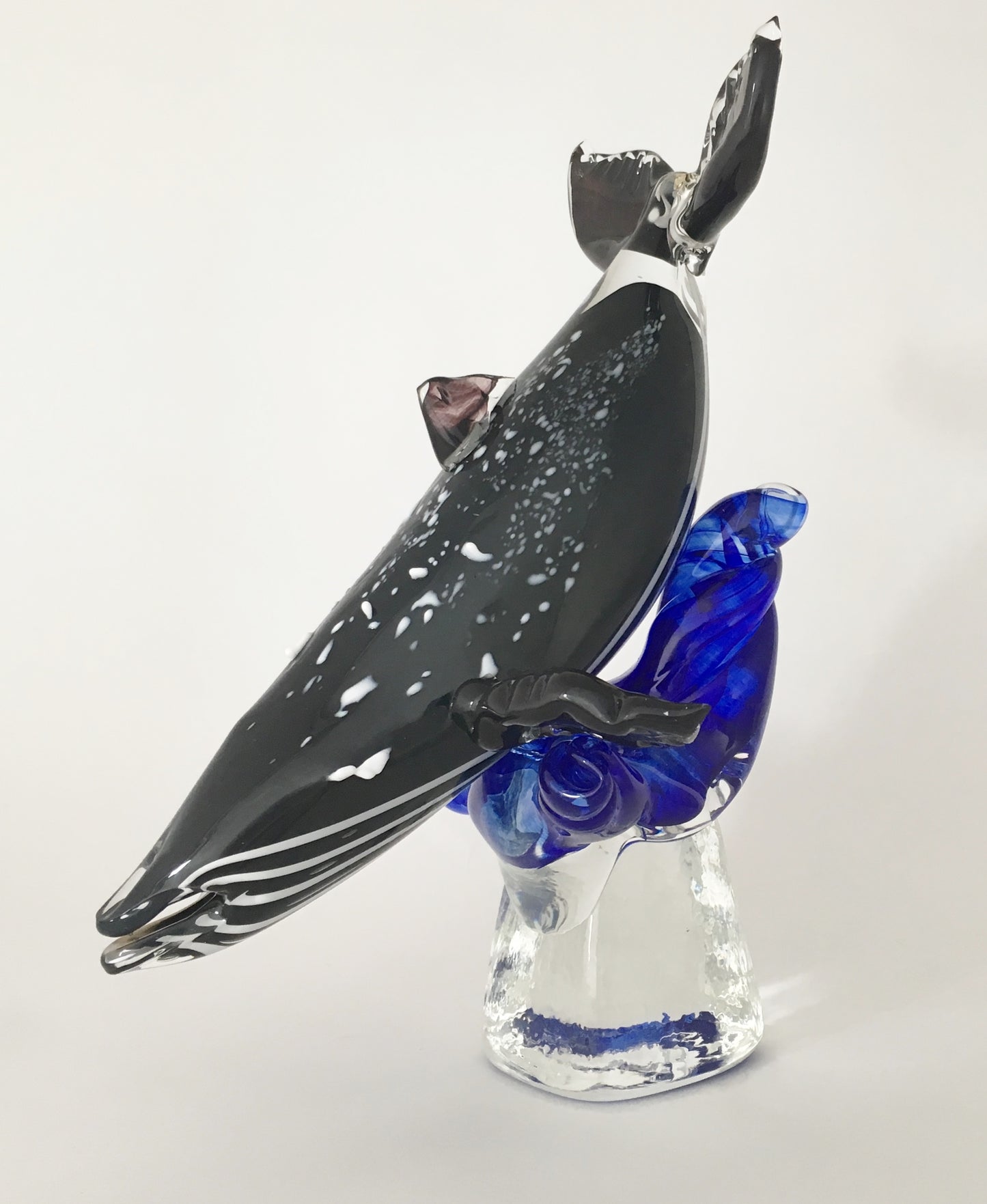 Rorqual sur base de verre/ Humpback Whale on glass base